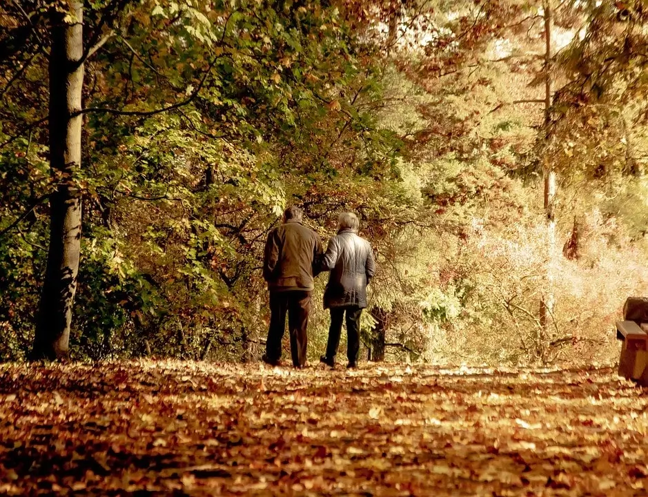 Terapia para la tercera edad